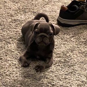 Meet your Posher, Jo